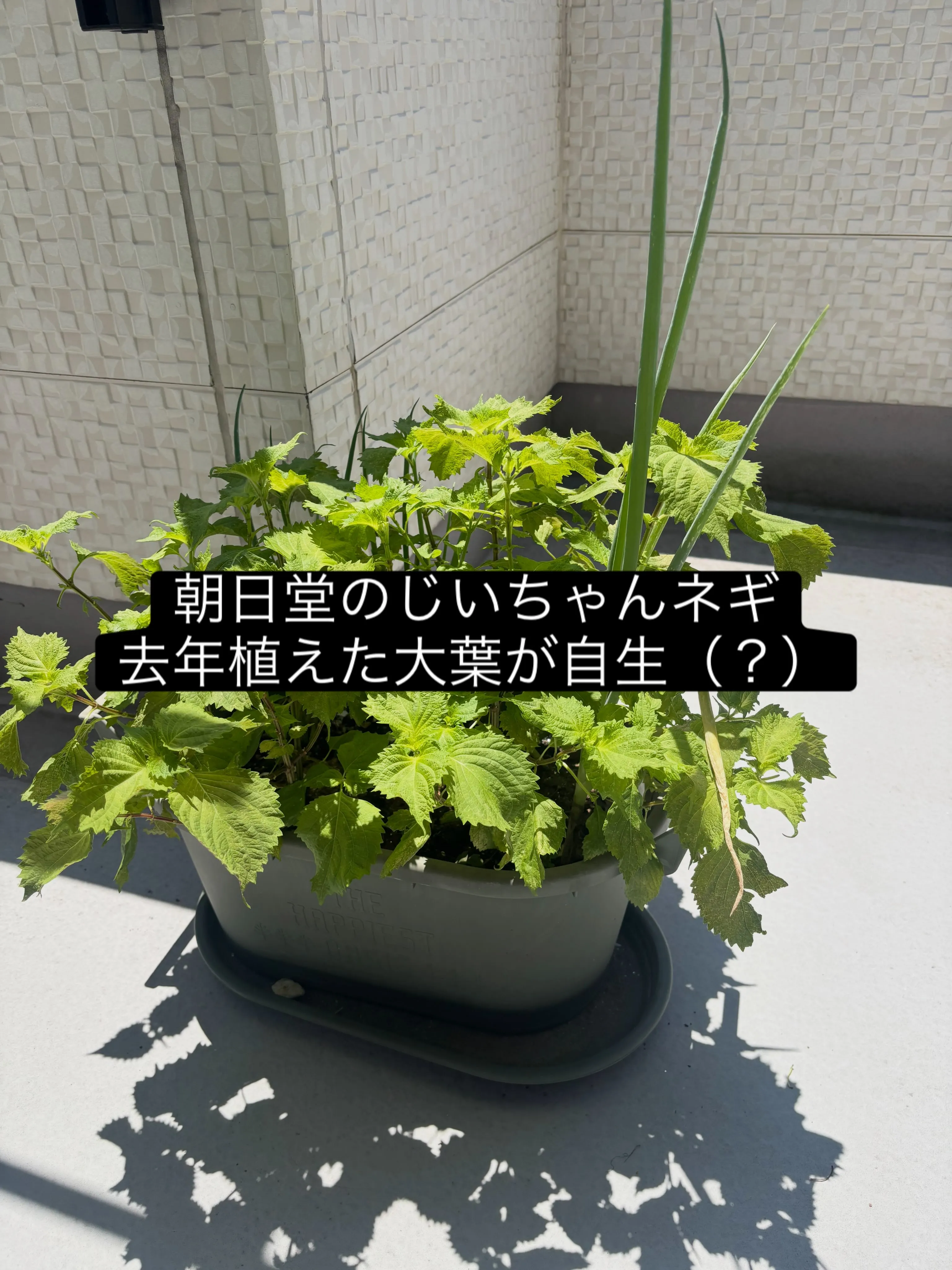 名古屋市中川区で地域に密着した、信頼trustと安心secu...