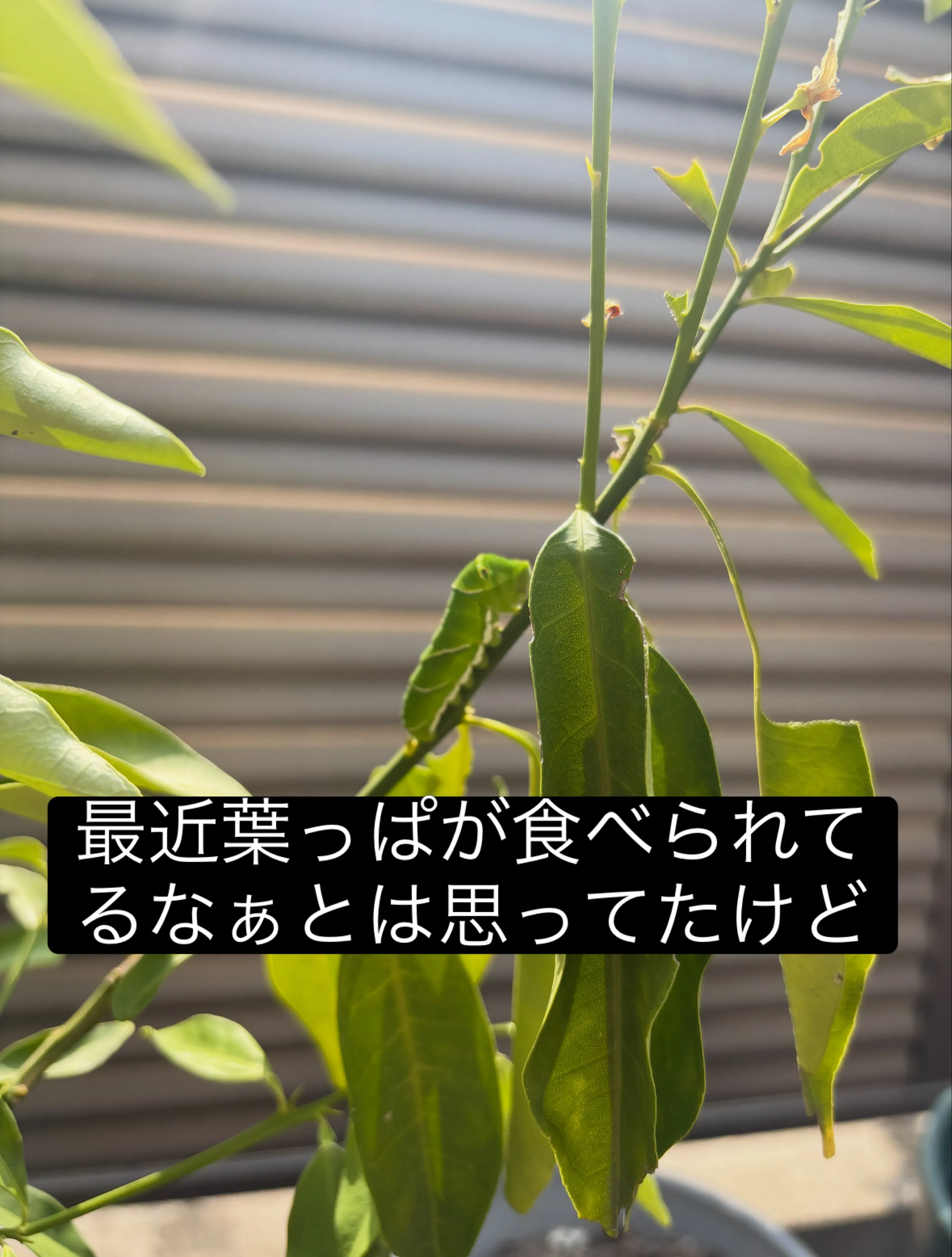 名古屋市中川区で地域に密着した、信頼trustと安心secu...