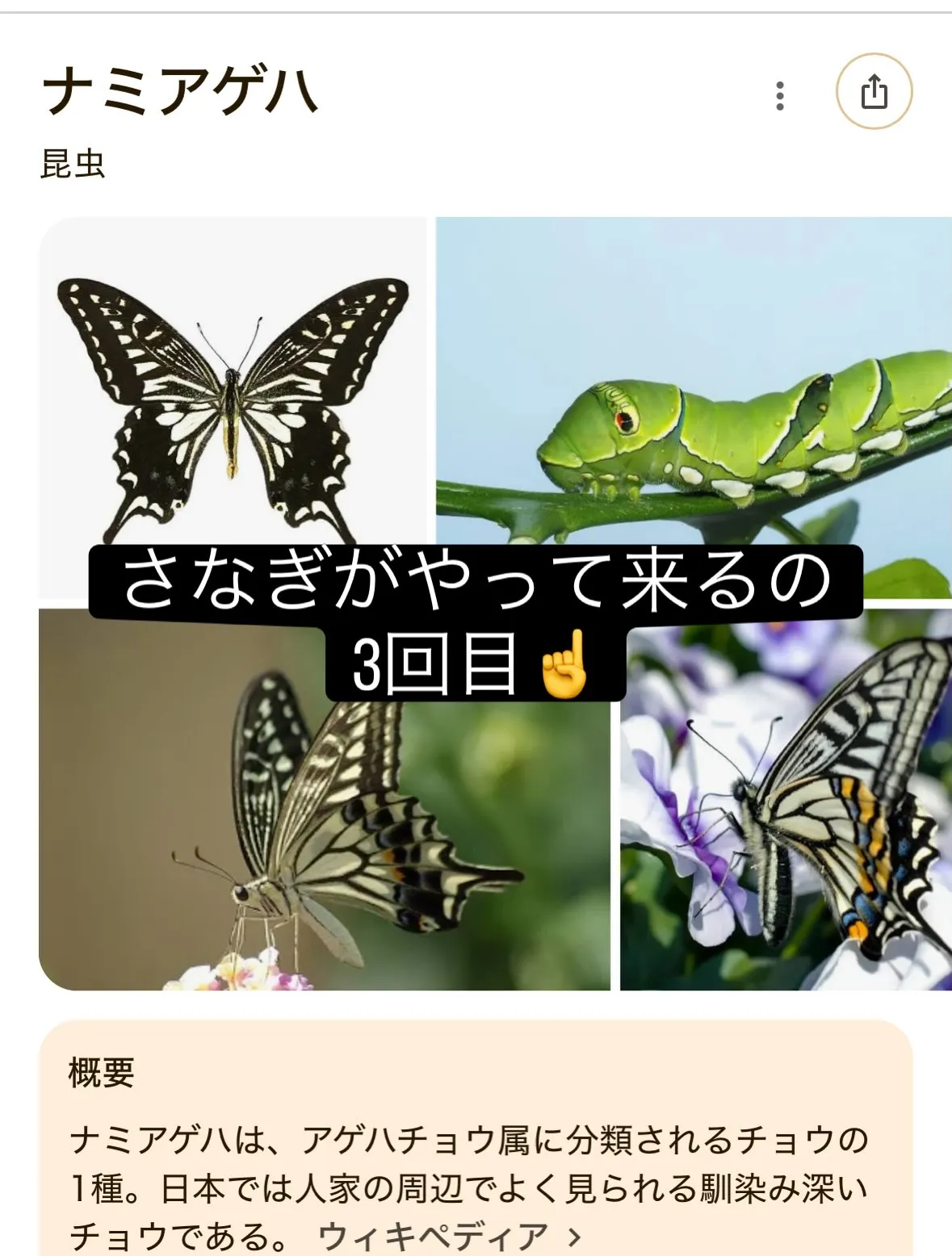 名古屋市中川区で地域に密着した、信頼trustと安心secu...