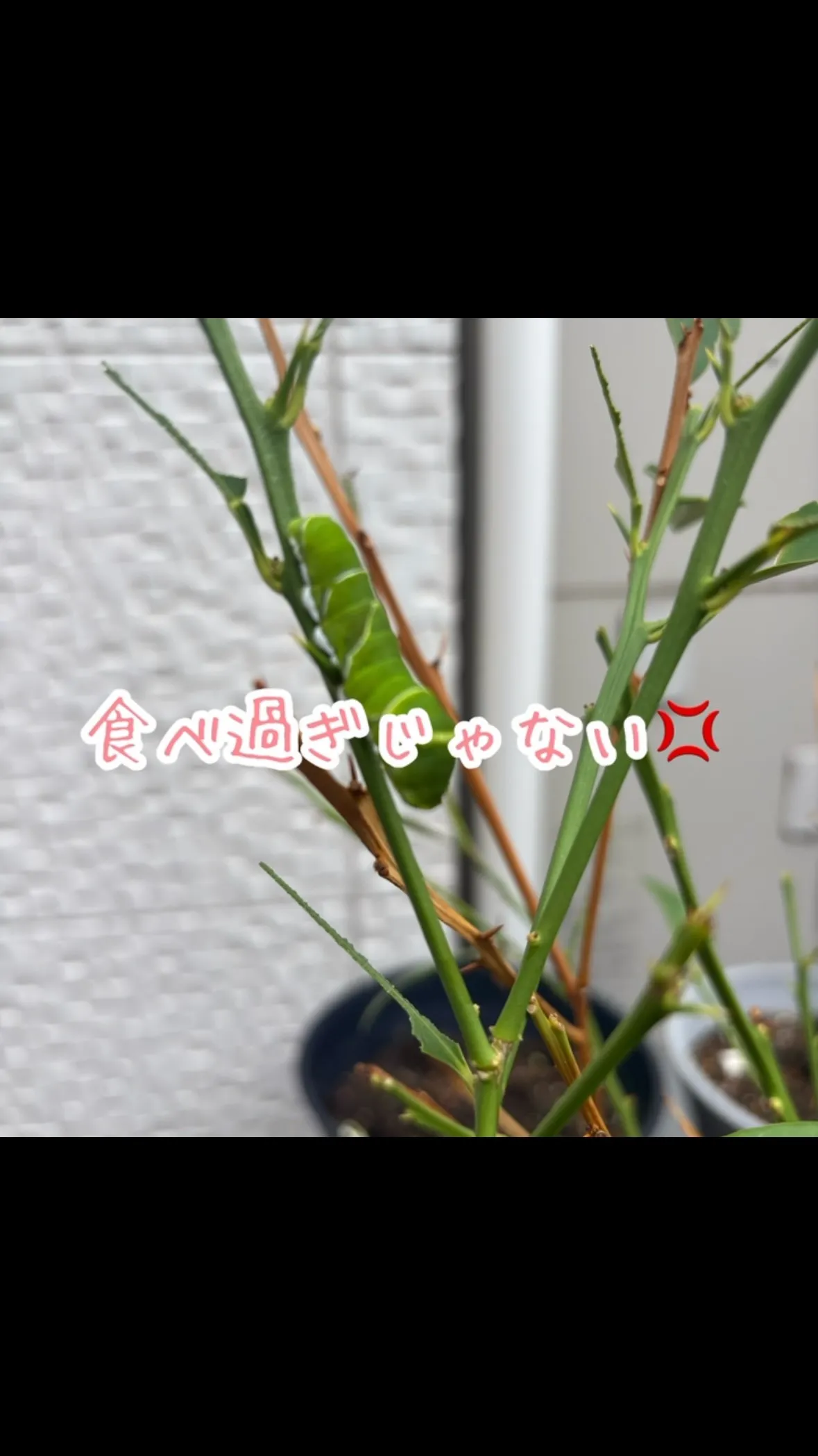名古屋市中川区で地域に密着した、信頼trustと安心secu...