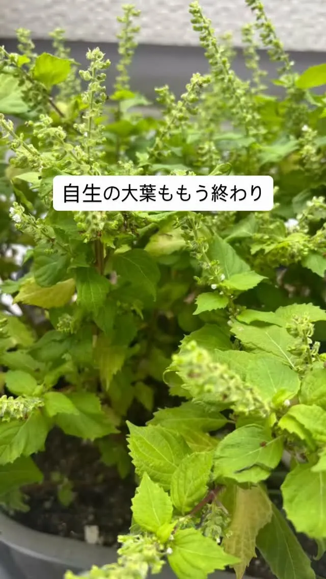 名古屋市中川区で地域に密着した、信頼trustと安心secu...